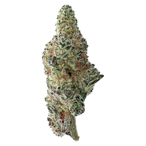 The Loud Plug - Tropicana Cookies - 28G