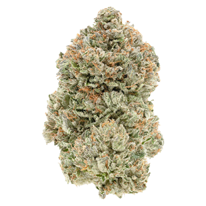 1964 - STINKY PINKY (28g)