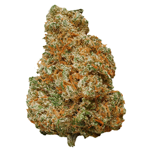 Potluck - Mango Dream - 7G