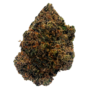 Potluck - Beaver Tail - 7G