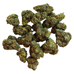 Bold - Root Beer Float Flower - 14G