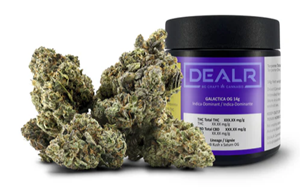 Dealr - GALACTICA OG (14g)