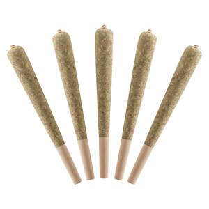 Standard Issue - Watermelon Infused Pre-Rolls - 2.5G