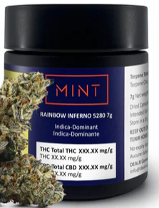 Mint Cannabis - Rainbow Inferno 5280 - 7G